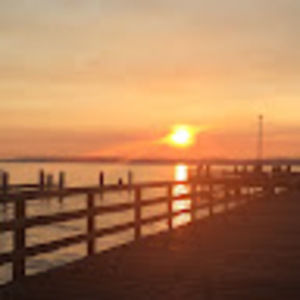 Meet your Posher, Jazzy